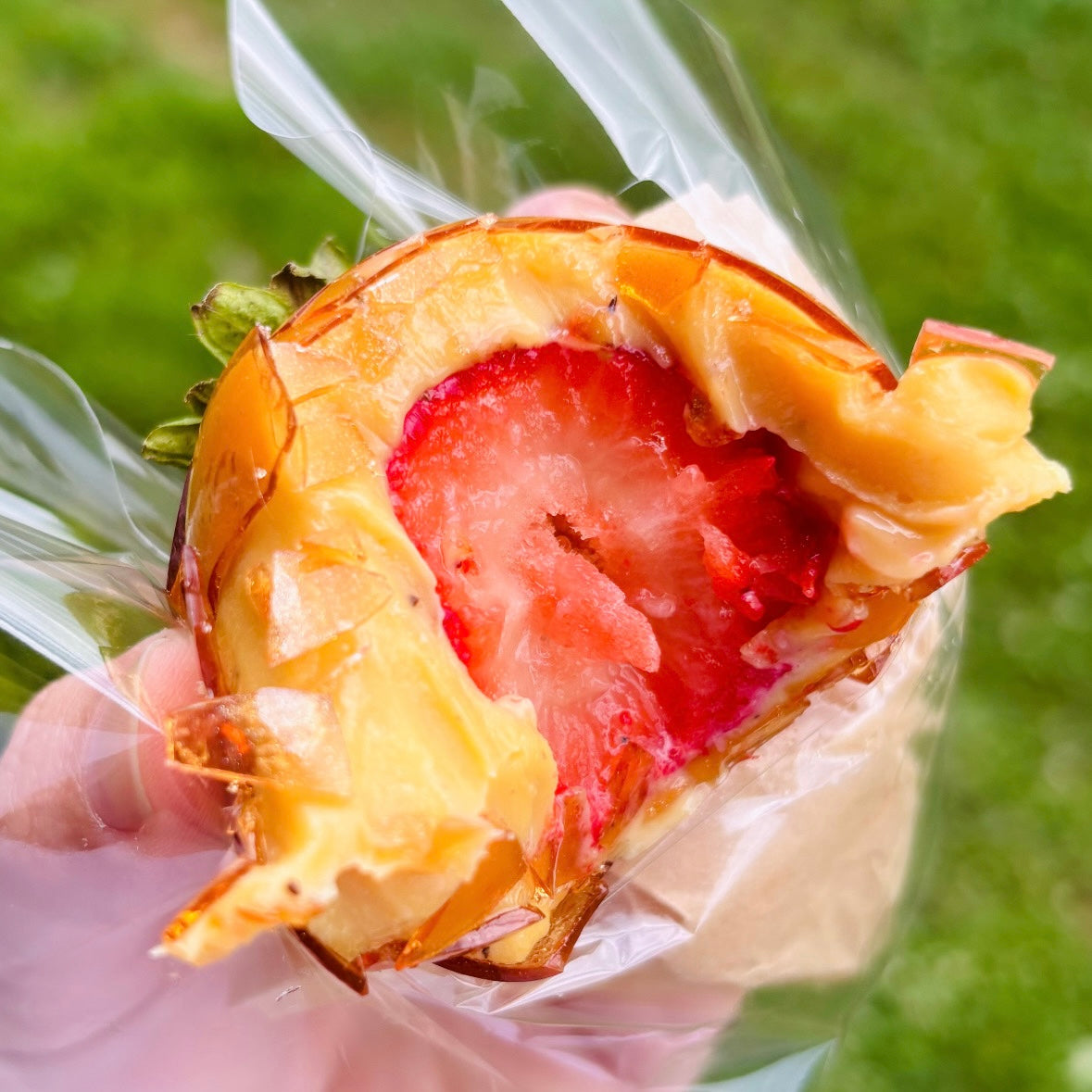 Strawberry of Love