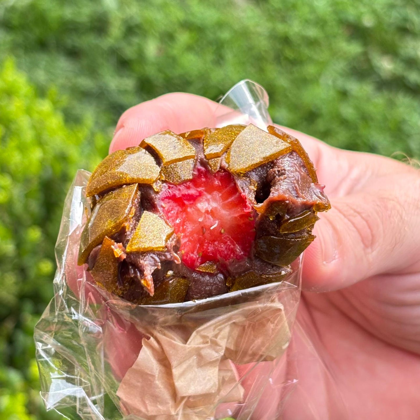 Strawberry of Love