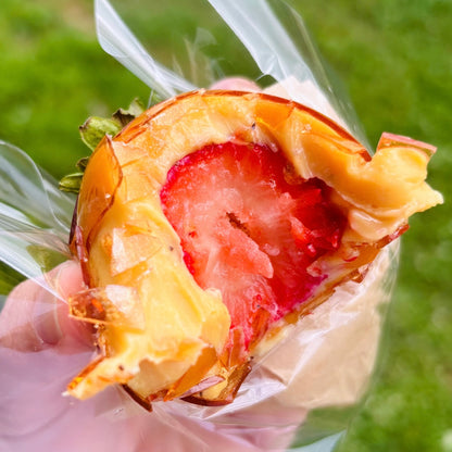 Strawberry of Love