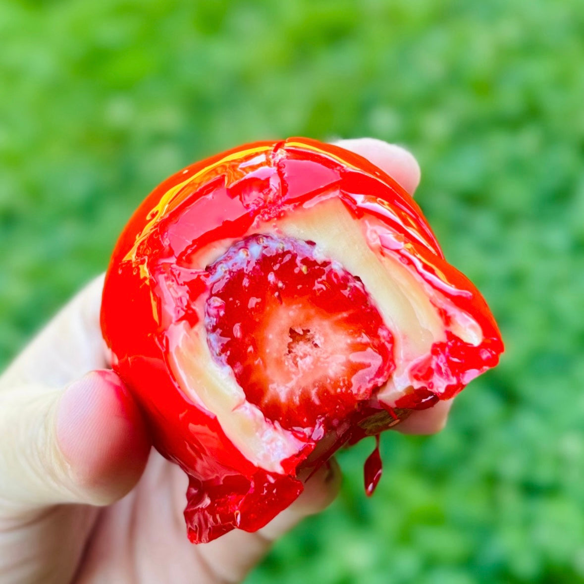 Strawberry of Love