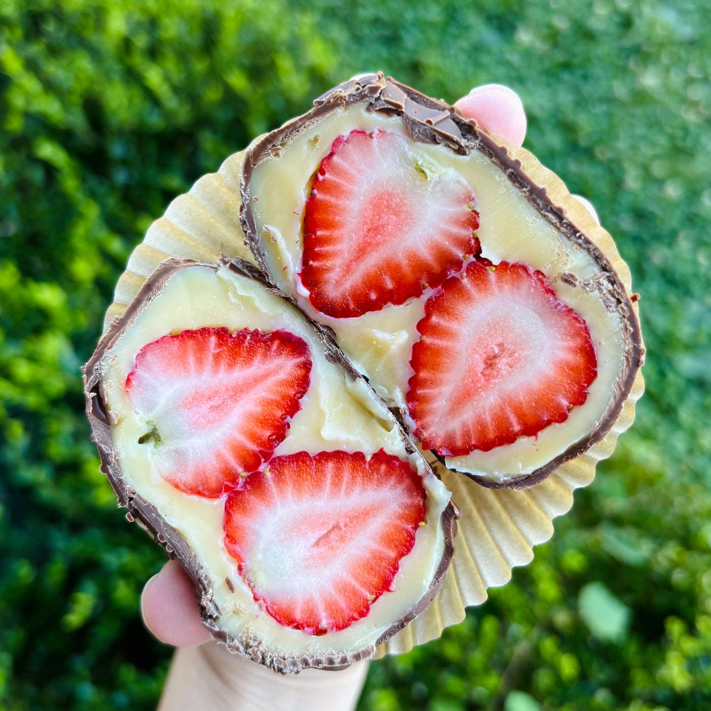 Chocolate strawberry bonbon
